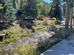 Swan River Site 229 - Image 2