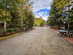 Club Site 249 - Image 3