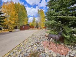 Club Site 271 - Image 5