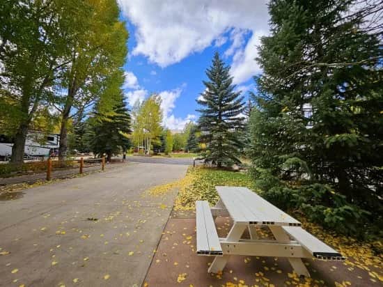 Club Site 285 - Image 5